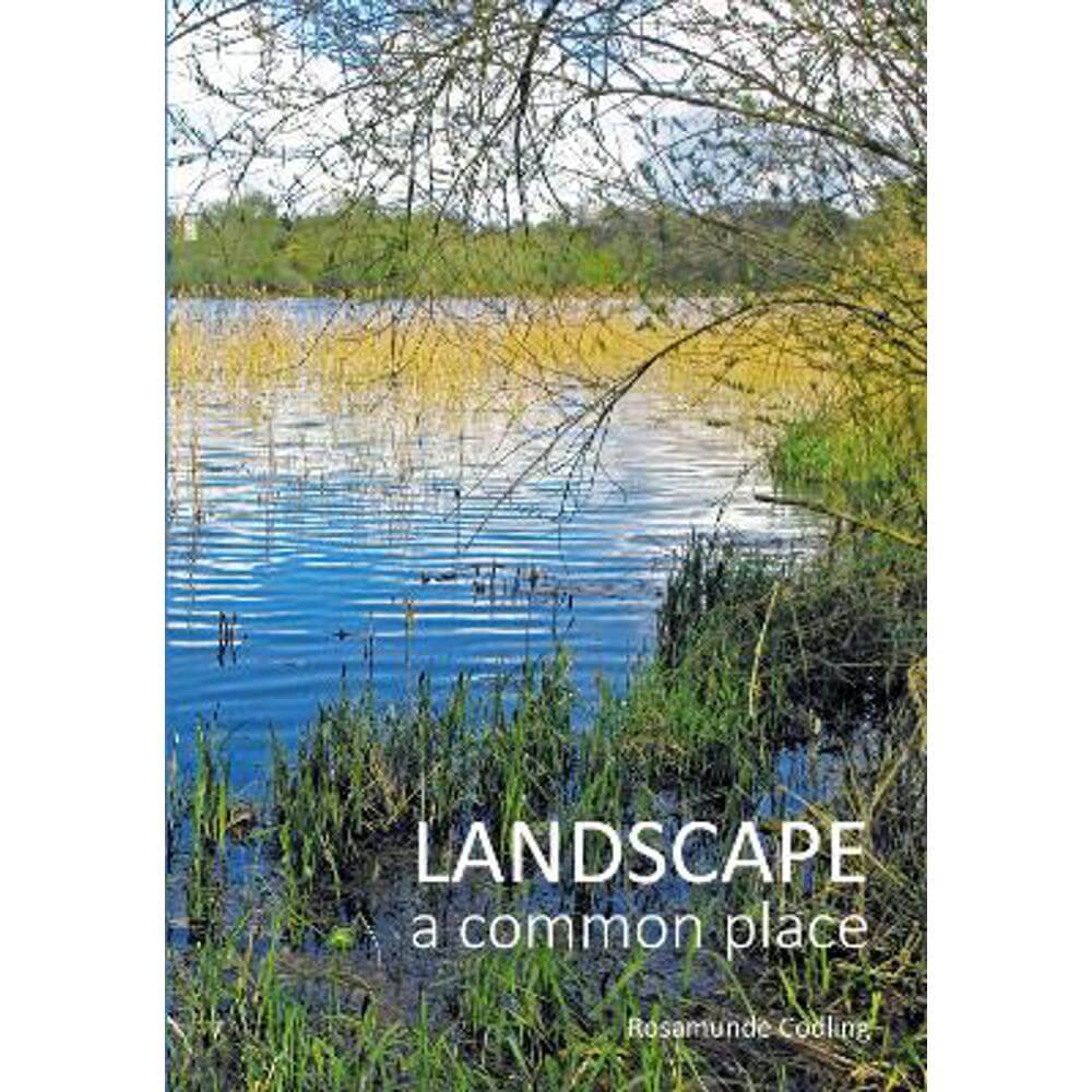 Landscape: a common place (Paperback) - Rosamunde Codling